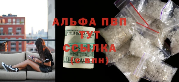 молекула духа Алексин