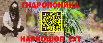 стафф Гусиноозёрск
