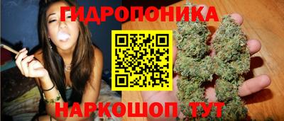 бошки Гусев