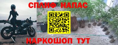 стафф Гусиноозёрск