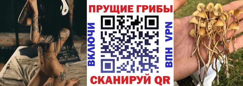 Галлюциногенные грибы Magic Shrooms  наркошоп  Троицк 