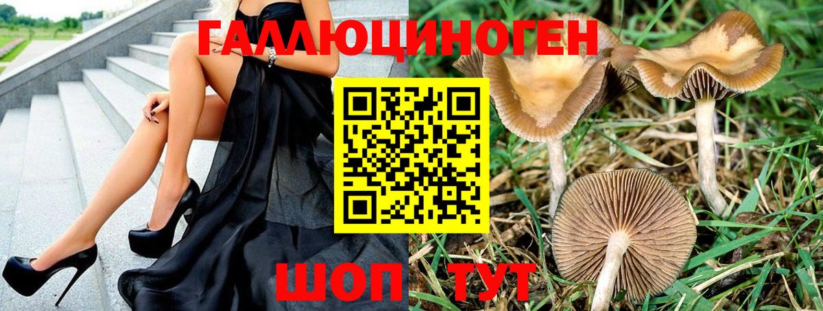 Троицк  Галлюциногенные грибы Cubensis  Вход с VPN 