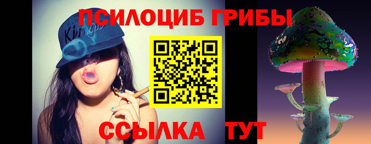 Псилоцибиновые грибы GOLDEN TEACHER Троицк